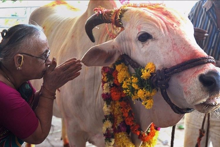 Supreme Court Upholds Madras HC’s Stay On Centre’s Ban On Cattle Trade<br /><br />https://thelogicalindian.com/news/supreme-court-cattle-sale-ban/<br /><br />On Tuesday, 11 July, the Supreme Court upheld the Madras High Court’s stay on the central government’s May notification that banned sale of cattle for slaughter across the country.