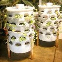 Garden Tower Project's Composting Container Garden lets you grow up to 50 plants almost anywhere!<br />Perfect for all of you budding urban farmers out there.<br /><br />More here: https://goo.gl/MGPGLA#consciousconsumers #iamconscious #countmein