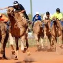 Camel Cup8 JULY Check this link for more info:: https://www.camelcup.com.au/This family affair showcases the Outback's famed beasts of burden racing for the championship cup. In the shadow of Uluru, the annual Alice Springs Camel Cup is run with the saddled-up “ships of the desert” doing their best to create a  wild, madcap race. Besides the race, belly dancers, Mr and Mrs Camel Cup challenges, hobby camel rides and rickshaw races ensure that there’s something for the whole family to enjoy.